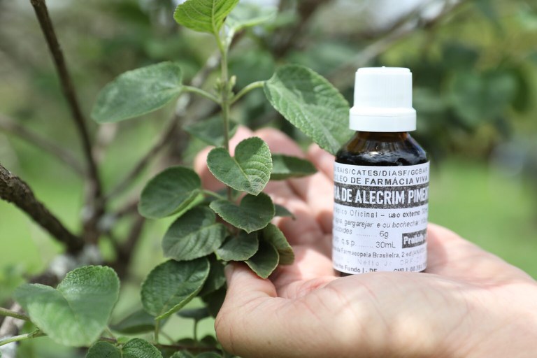 Fotos: Paulo H. Carvalho/Agência Brasília