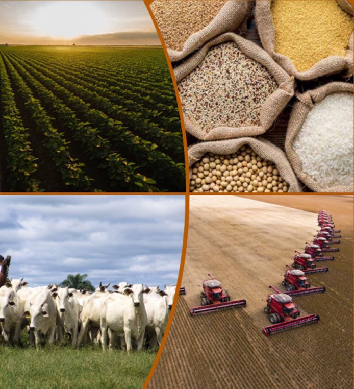 Produção de grãos brasileira deverá chegar a 390 milhões de toneladas nos próximos dez anos