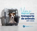 ANAC publica portaria sobre transporte de animais em aviões