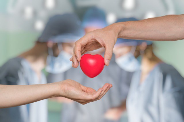 Ministério da Saúde realizou 13 transplantes de coração na última semana