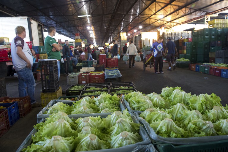 Alface, batata e cebola são destaques na queda de preços nas Ceasas, aponta Conab