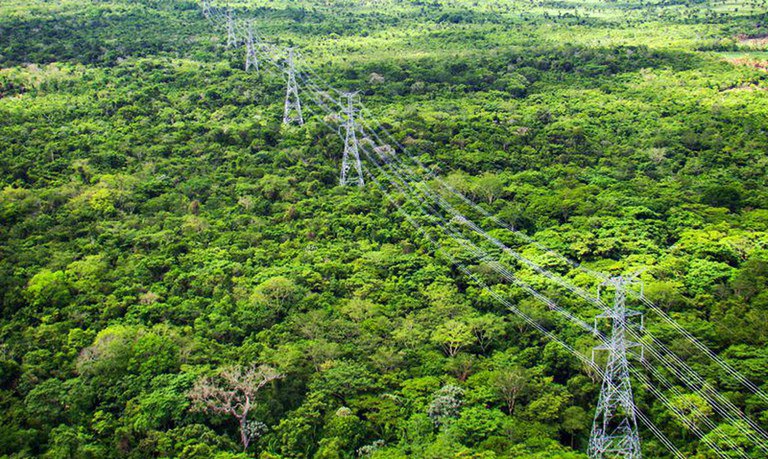 Decreto que institui programa Energias da Amazônia é assinado pelo presidente Lula