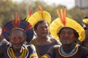 Defesa tem crédito aprovado de R$ 140 milhões para proteção de indígenas