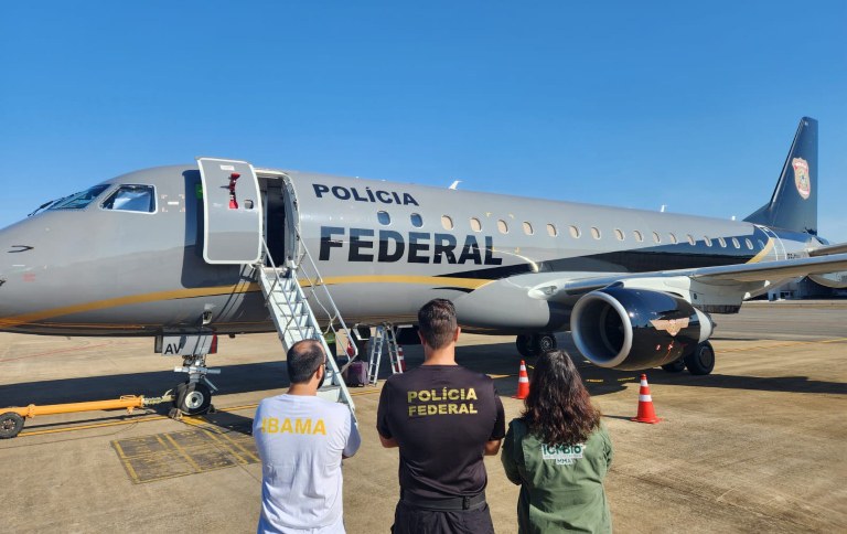 Governo Federal realiza ação integrada para repatriação de Micos-leões-dourados e Araras-azuis-de-lear apreendidos no Suriname