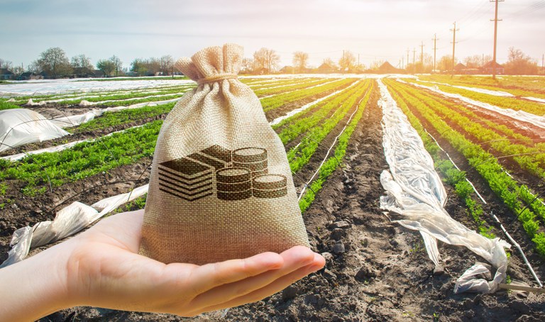 LCA e CPR seguem aquecidas no financiamento privado da agricultura