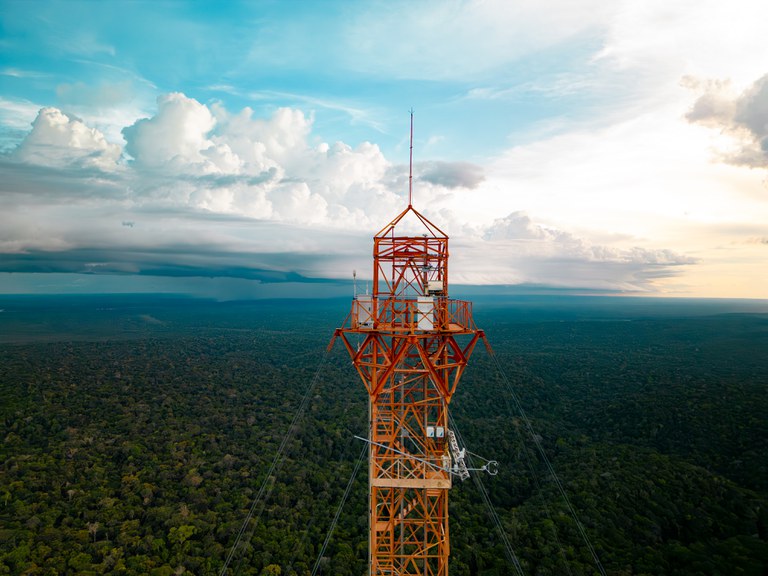 Especial MCTI: Torre Alta da Amazônia avança na fronteira do conhecimento sobre floresta e clima