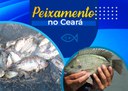 Órgão do Governo Federal leva peixe a açudes do Ceará