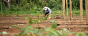 Nova Portaria do Selo Biocombustível Social levará investimentos para agricultores familiares do Norte, Nordeste e Semiárido