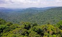 Participação social e editais marcam volta do Fundo Nacional do Meio Ambiente