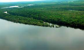 Pesquisadores do Inpe apresentam estudo sobre emissões de carbono na Amazônia nesta quarta-feira