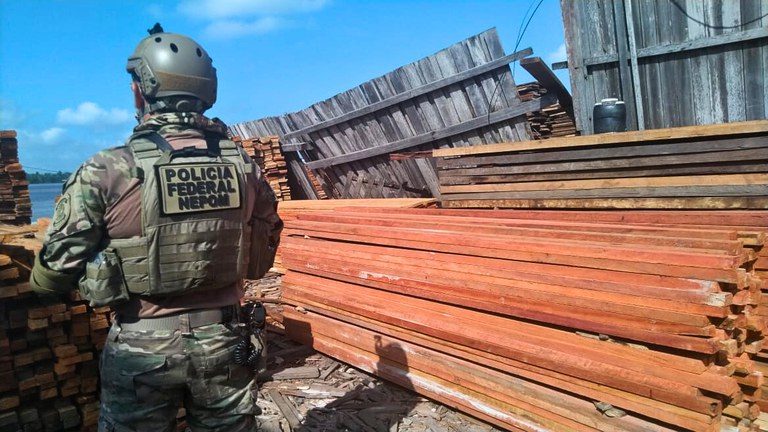 Policia Federal e IBAMA combatem desmatamento ilegal na Amazônia