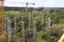 Programa científico que monitora impacto das mudanças climáticas sobre Amazônia entra em nova fase