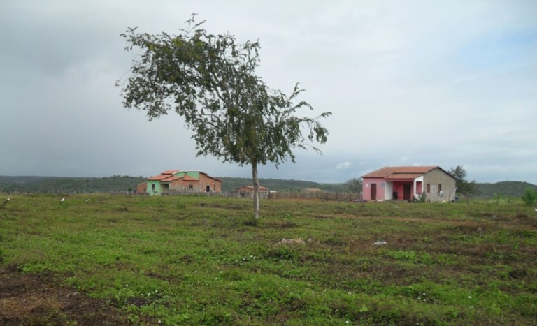 Reforma agrária é retomada com a criação de oito novos assentamentos