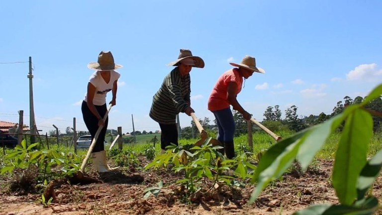 Sancionada lei que prioriza grupos de mulheres da agricultura familiar na aquisição de produtos da merenda escolar