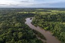 Serviço Florestal registra acréscimo de 18 milhões de hectares de florestas públicas em 2022