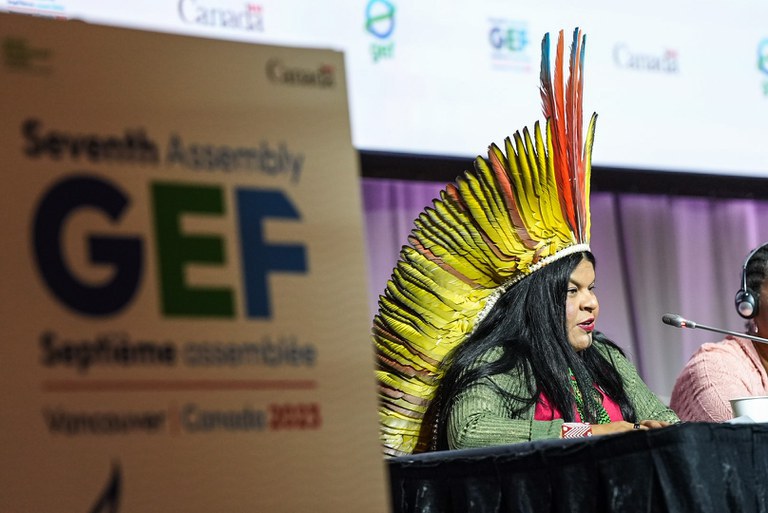 Sonia Guajajara cobra maior participação dos povos indígenas nos mecanismos de financiamento internacional