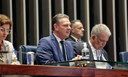 “Não existe política agrícola sem apoio à comercialização”, destaca ministro Fávaro