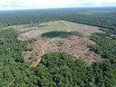 AGU cobra R$ 292 milhões de infrator ambiental por emissões de gases do efeito estufa