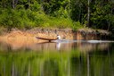 Aquecimento das águas do Pacífico e do Atlântico agravam seca na Amazônia