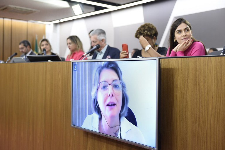 MEC participa de audiência pública par debater o piso do magistério
