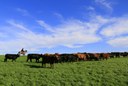 Brasil e EUA se unem para discutir sustentabilidade na produção agropecuária