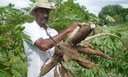 Começam as inscrições para 66 lotes da reforma agrária na Bahia