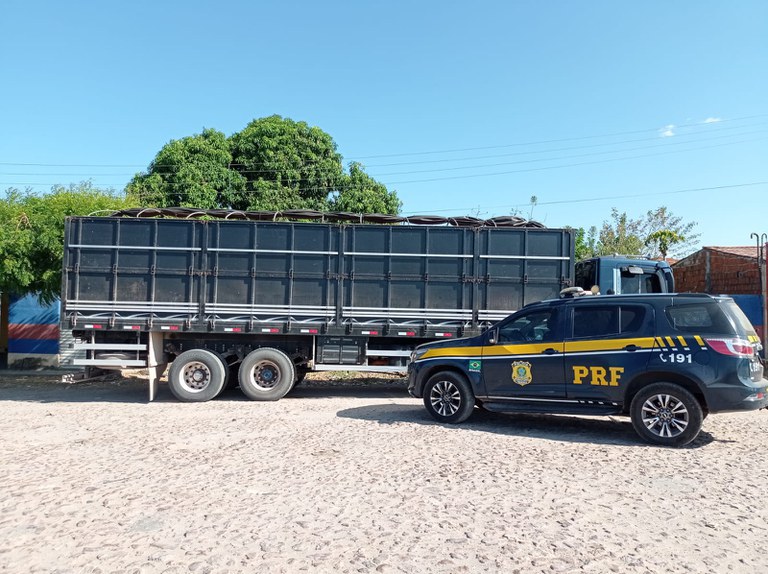 Combate a crimes ambientais: PRF apreende caminhão carregado de madeira ilegal