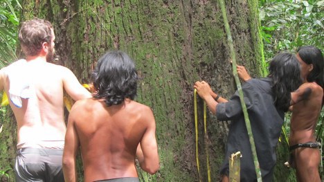 Diversidade cultural e linguística indígena protege a Amazônia