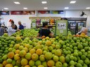 Estudo aponta caminhos para reduzir fome e desperdício de alimentos