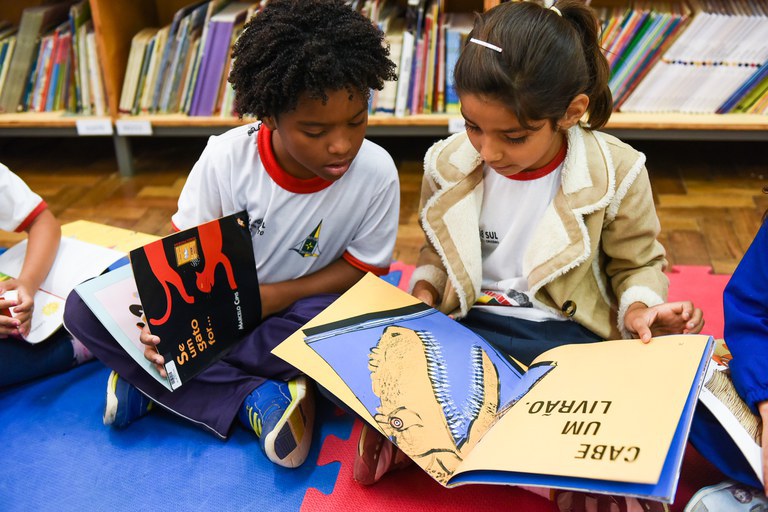 MEC apresenta livros didáticos para Educação Infantil