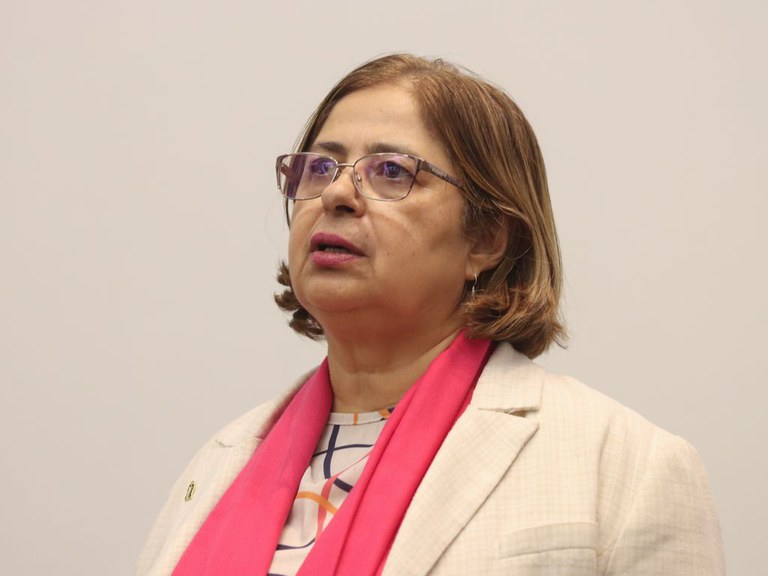 Ministra Cida Gonçalves participa de debates na ONU nos Estados Unidos