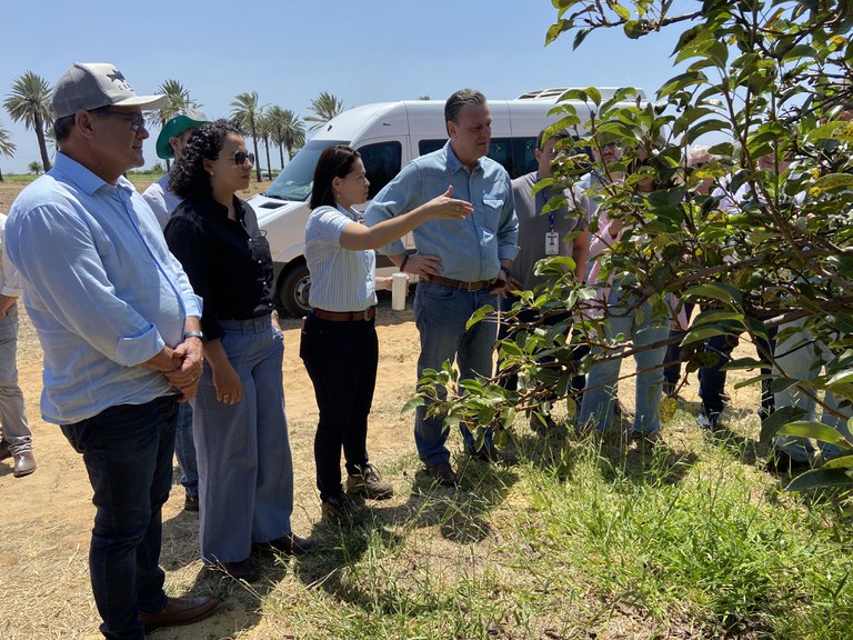 Ministro da Agricultura e Pecuária visita Campo da Embrapa e conhece trabalhos com fruticultura tropical no Semiárido
