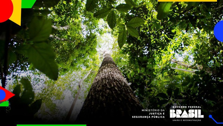 MJSP lança edital para pesquisa sobre crimes ambientais na Amazônia Legal
