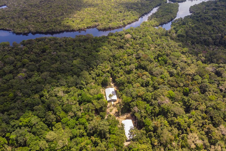 No Dia da Amazônia, conheça o projeto que apoia quem conserva e recupera a floresta