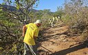 Pesquisa na Estação Ecológica da Serra das Araras investiga efeitos do incêndio no Cerrado