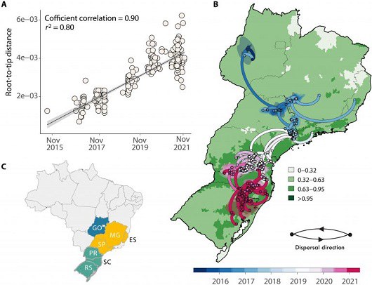 Pesquisa traça panorama da febre amarela no Brasil nos últimos 7 anos