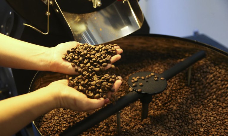 Produção de café está estimada em 54,36 milhões de sacas, 3ª maior na série histórica