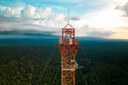 20ª SNCT: Única no mundo, Torre Alta da Amazônia produz ciência na fronteira do conhecimento sobre clima