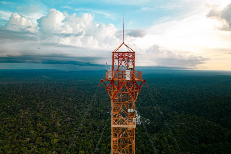 20ª SNCT: Única no mundo, Torre Alta da Amazônia produz ciência na fronteira do conhecimento sobre clima