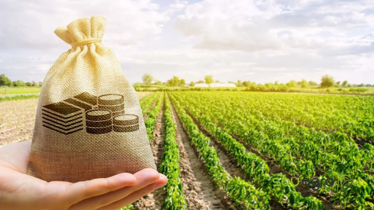 BNDES abre capital de giro para cooperativas agropecuárias
