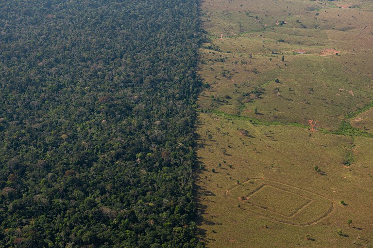 Estudo revela 10 mil registros de antigas comunidades indígenas na Amazônia