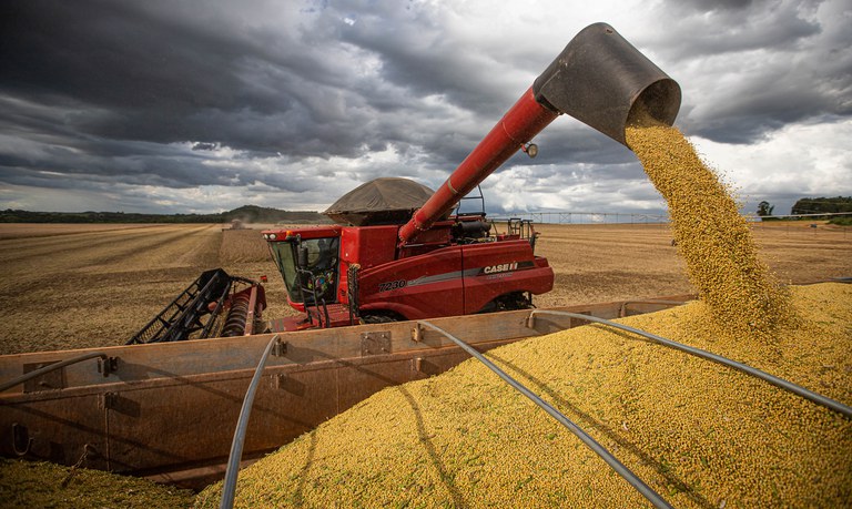 Exportações de soja e milho em setembro deste ano estão mais altas que em 2022