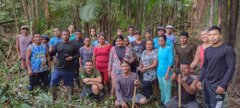 Funai apoia ação de manejo de açaizais nativos em terras indígenas do Oiapoque