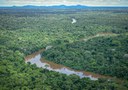 Fundo Amazônia recebe doações de Suíça e Estados Unidos