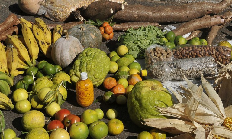 Governo Federal destina mais R$ 250 milhões para Programa de Aquisição de Alimentos