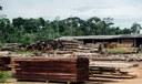 "Madeira Sustentável para um Mundo Sustentável”, da FAO, é tema de evento latino-americano