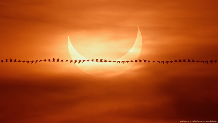 MCTI transmitirá Eclipse Solar Anular ao vivo para todo Brasil e para o mundo
