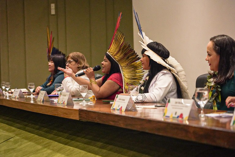 Lançado comitê para elaborar políticas públicas de proteção aos Povos Indígenas