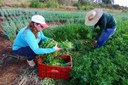 PAA, Cisternas e Bolsa Família completam 20 anos com missão de tirar o País novamente do Mapa da Fome