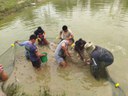 Pesquisadores da Embrapa ministram treinamento sobre Aquicultura na Bolívia